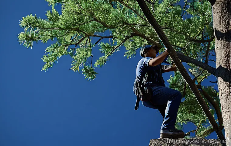 서비스관리사 자격증 활용 사례 - Here are three detailed image prompts in English, adhering to all your guidelines: