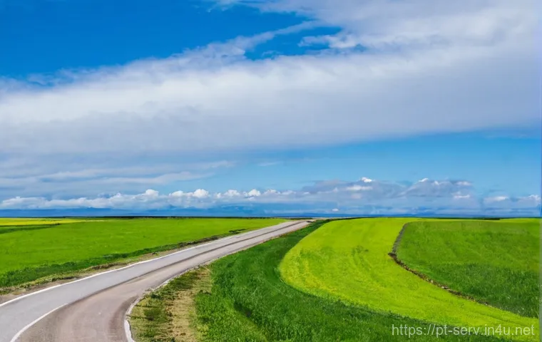 서비스관리사 자격증 난이도 분석 - Here are three detailed image prompts in English, designed to be appropriate for a 15+ audience and ...